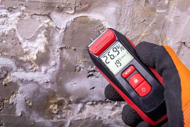 Crawl Space Mold Removal in Denver, IA